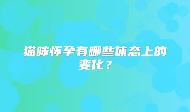 猫咪怀孕有哪些体态上的变化？