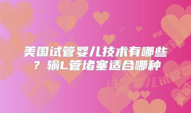 美国试管婴儿技术有哪些？输L管堵塞适合哪种