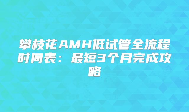 攀枝花AMH低试管全流程时间表:最短3个月完成攻略