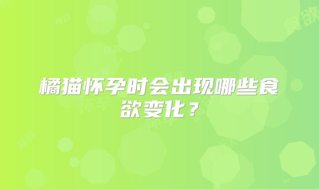橘猫怀孕时会出现哪些食欲变化?