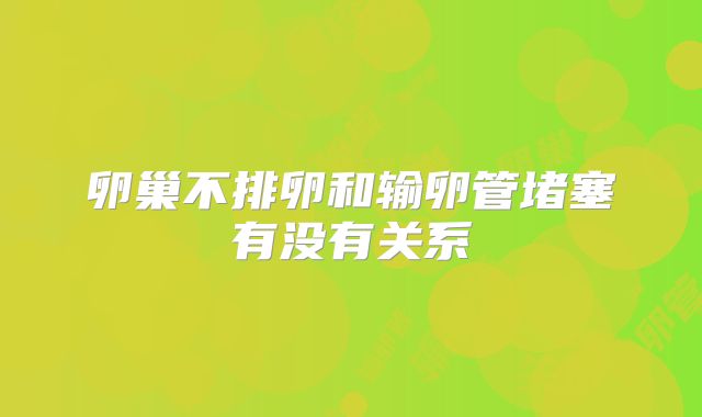 卵巢不排卵和输卵管堵塞有没有关系
