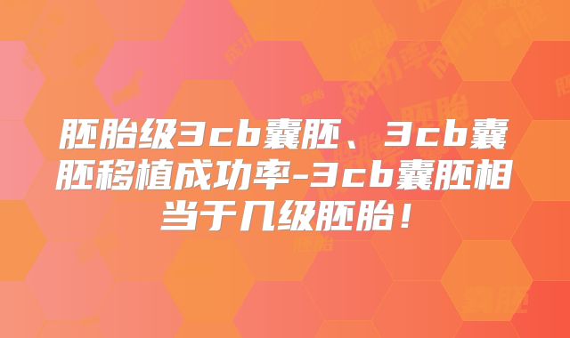 胚胎级3cb囊胚、3cb囊胚移植成功率-3cb囊胚相当于几级胚胎！
