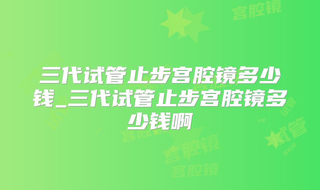 三代试管止步宫腔镜多少钱_三代试管止步宫腔镜多少钱啊