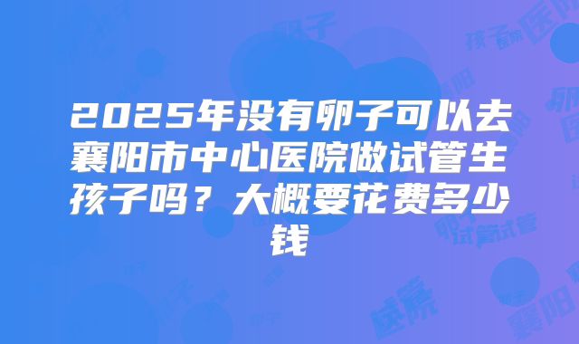 2025年没有卵子可以去襄阳市中心医院做试管生孩子吗？大概要花费多少钱