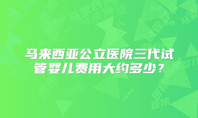马来西亚公立医院三代试管婴儿费用大约多少？