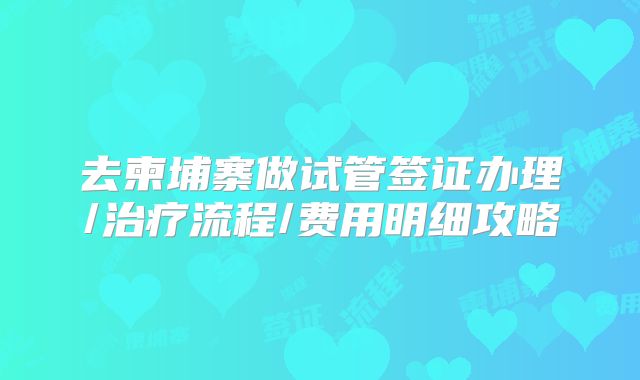 去柬埔寨做试管签证办理/治疗流程/费用明细攻略