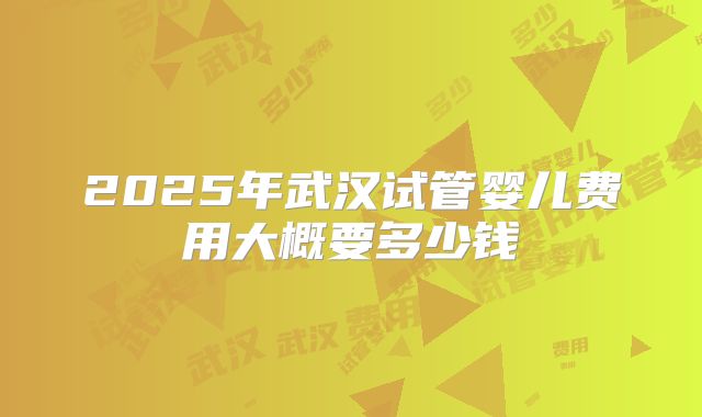 2025年武汉试管婴儿费用大概要多少钱
