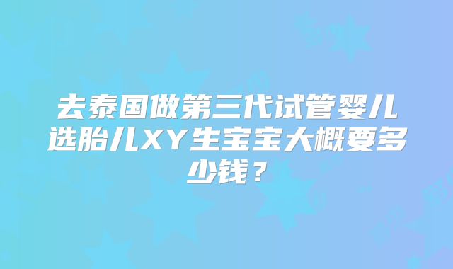 去泰国做第三代试管婴儿选胎儿XY生宝宝大概要多少钱?
