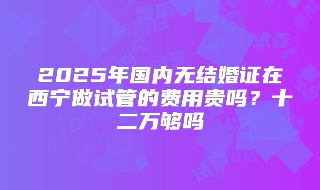 2025年国内无结婚证在西宁做试管的费用贵吗?十二万够吗