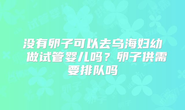 没有卵子可以去乌海妇幼 做试管婴儿吗？卵子供需要排队吗