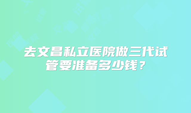 去文昌私立医院做三代试管要准备多少钱？