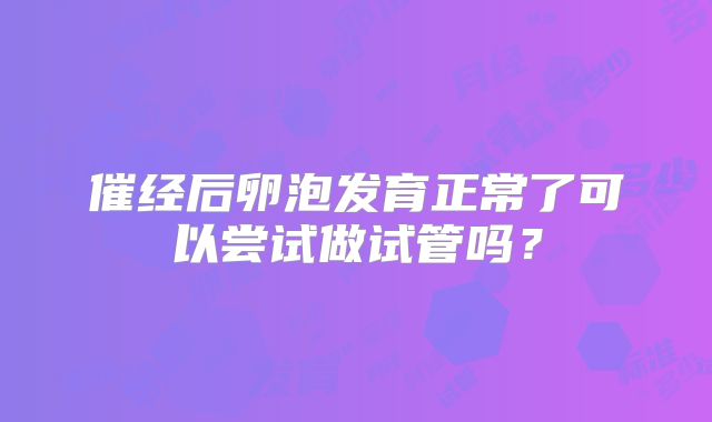 催经后卵泡发育正常了可以尝试做试管吗?