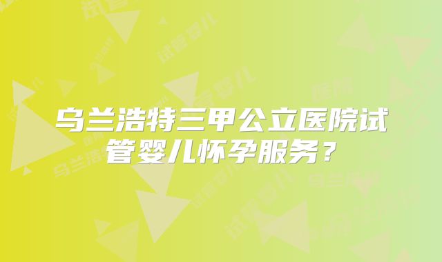 乌兰浩特三甲公立医院试管婴儿怀孕服务？