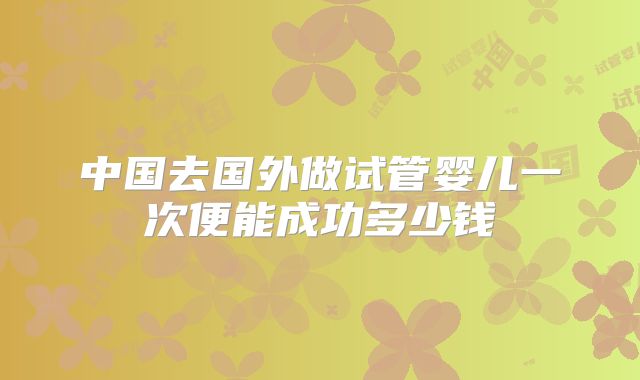 中国去国外做试管婴儿一次便能成功多少钱