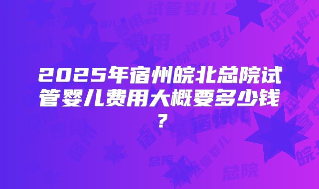 2025年宿州皖北总院试管婴儿费用大概要多少钱?