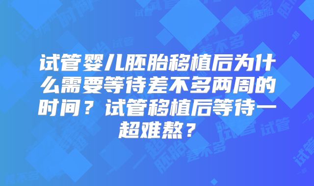 试管婴儿胚胎移植后为什么需要等待差不多两周的时间?试管移植后等待一超难熬?