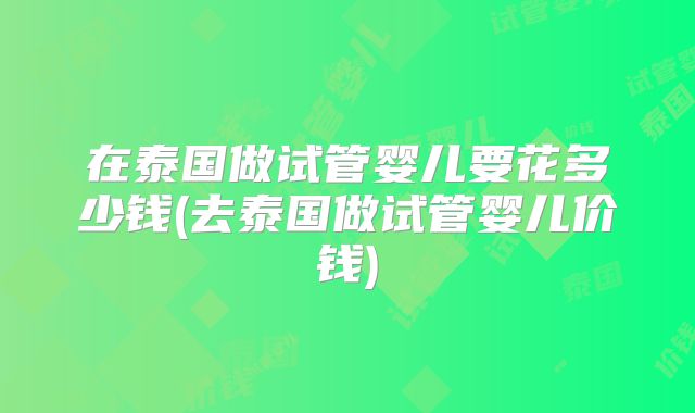 在泰国做试管婴儿要花多少钱(去泰国做试管婴儿价钱)
