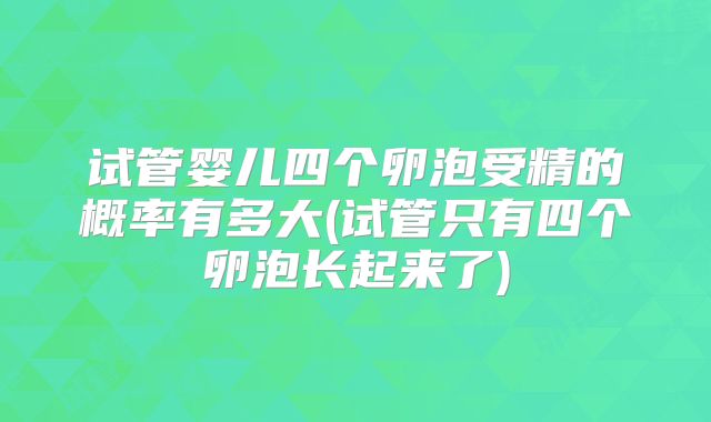 试管婴儿四个卵泡受精的概率有多大(试管只有四个卵泡长起来了)
