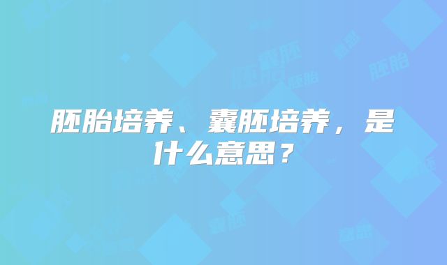 胚胎培养、囊胚培养,是什么意思?
