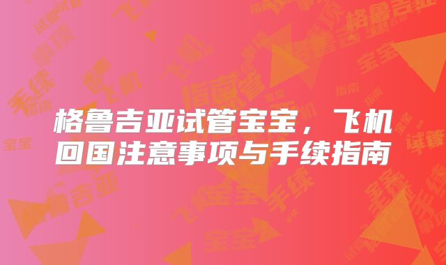 格鲁吉亚试管宝宝，飞机回国注意事项与手续指南