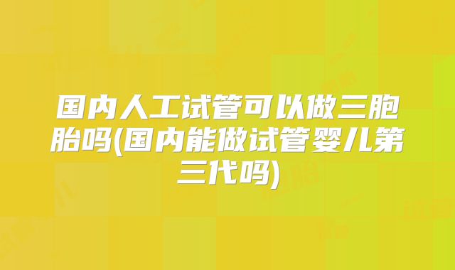 国内人工试管可以做三胞胎吗(国内能做试管婴儿第三代吗)