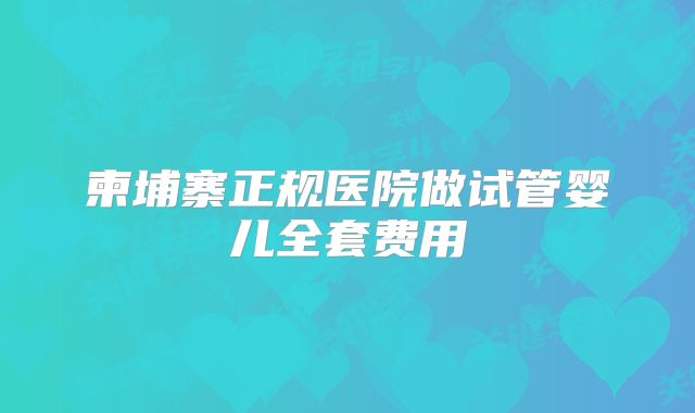柬埔寨正规医院做试管婴儿全套费用