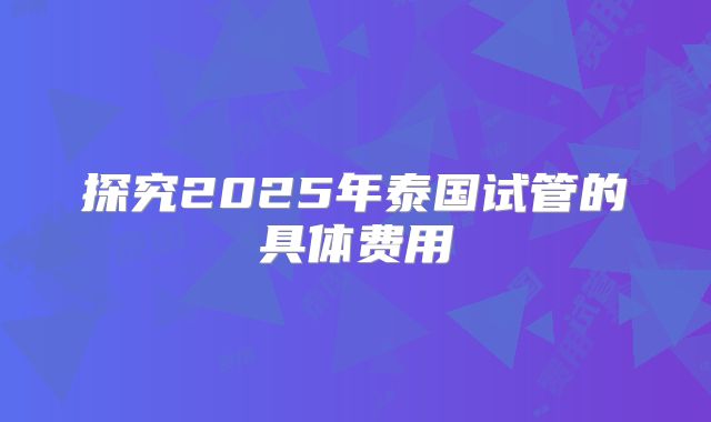 探究2025年泰国试管的具体费用