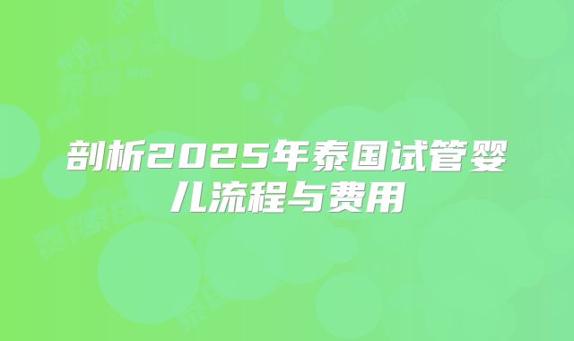 剖析2025年泰国试管婴儿流程与费用