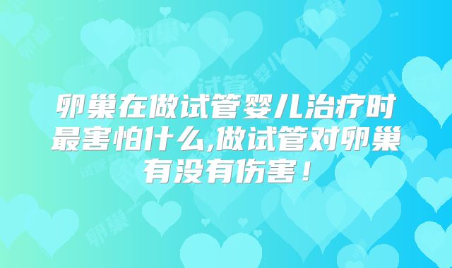 卵巢在做试管婴儿治疗时最害怕什么,做试管对卵巢有没有伤害！