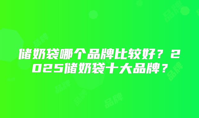 储奶袋哪个品牌比较好?2025储奶袋十大品牌?