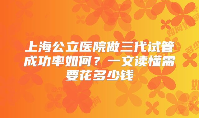 上海公立医院做三代试管成功率如何？一文读懂需要花多少钱