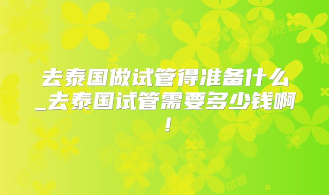 去泰国做试管得准备什么_去泰国试管需要多少钱啊!