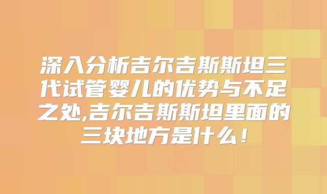 深入分析吉尔吉斯斯坦三代试管婴儿的优势与不足之处,吉尔吉斯斯坦里面的三块地方是什么！
