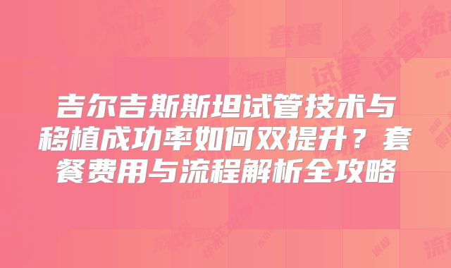 吉尔吉斯斯坦试管技术与移植成功率如何双提升？套餐费用与流程解析全攻略
