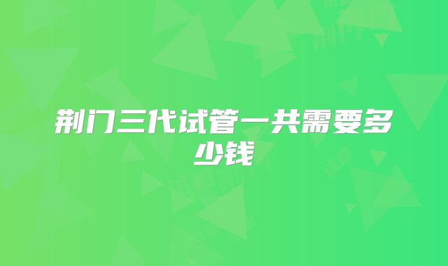 荆门三代试管一共需要多少钱
