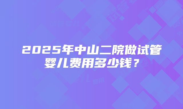2025年中山二院做试管婴儿费用多少钱？