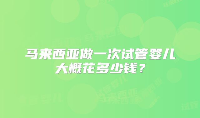 马来西亚做一次试管婴儿大概花多少钱？