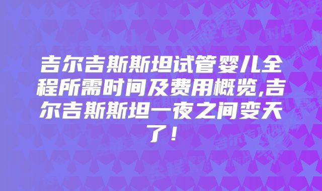 吉尔吉斯斯坦试管婴儿全程所需时间及费用概览,吉尔吉斯斯坦一夜之间变天了！