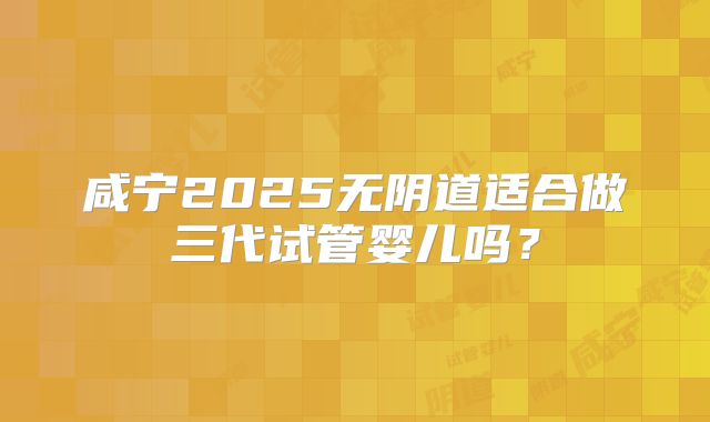 咸宁2025无阴道适合做三代试管婴儿吗?