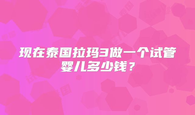 现在泰国拉玛3做一个试管婴儿多少钱？