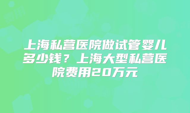 上海私营医院做试管婴儿多少钱?上海大型私营医院费用20万元