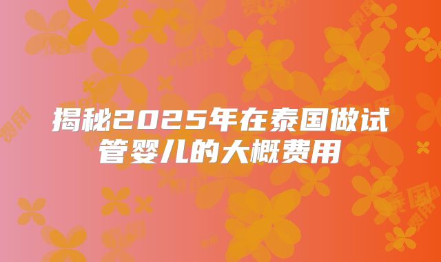 揭秘2025年在泰国做试管婴儿的大概费用