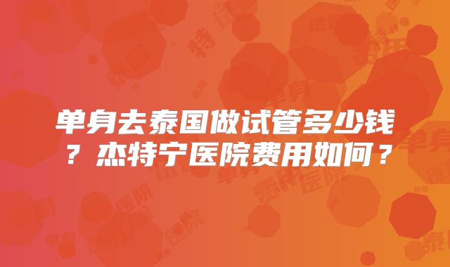 单身去泰国做试管多少钱？杰特宁医院费用如何？
