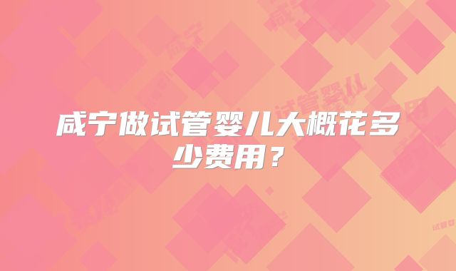 咸宁做试管婴儿大概花多少费用?