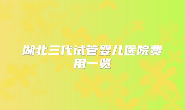 湖北三代试管婴儿医院费用一览