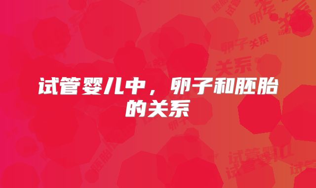 试管婴儿中，卵子和胚胎的关系