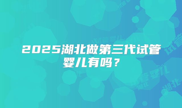 2025湖北做第三代试管婴儿有吗？