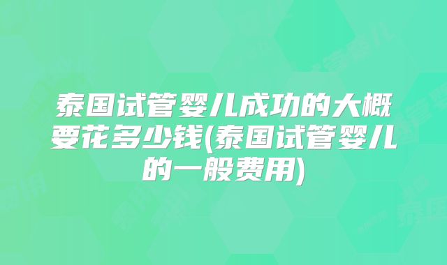 泰国试管婴儿成功的大概要花多少钱(泰国试管婴儿的一般费用)