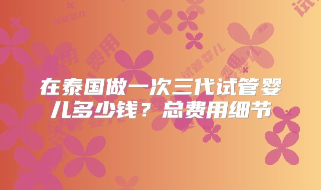 在泰国做一次三代试管婴儿多少钱？总费用细节