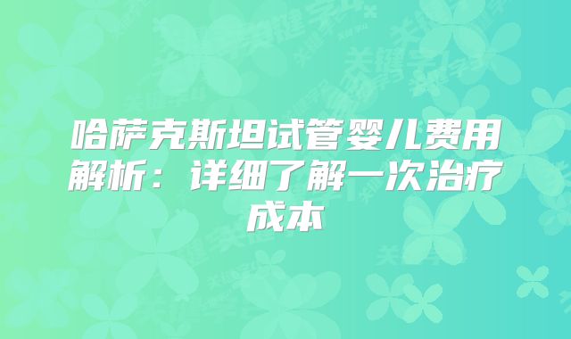 哈萨克斯坦试管婴儿费用解析：详细了解一次治疗成本